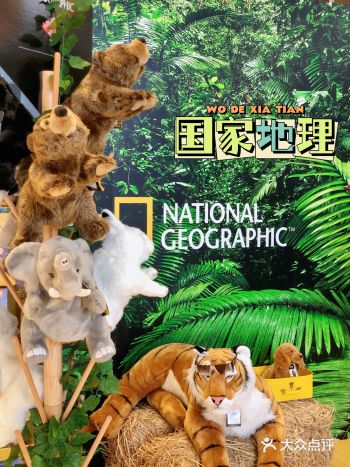 长沙*被国家地理萌化想在家开小动物园