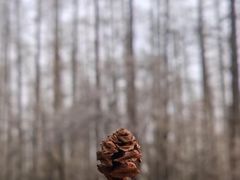 -上海怡沁园度假酒店