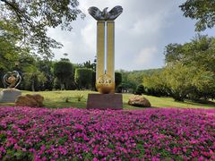-广州市白云山风景名胜区