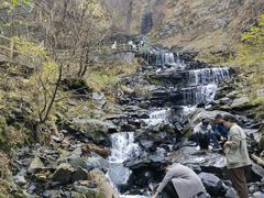 -凤凰山国家森林公园