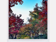 -大伊山景区