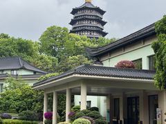 -浙江西子宾馆·牡丹厅