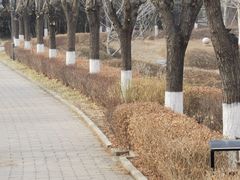 -云岗森林公园