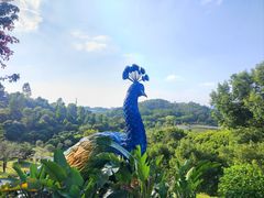 -东莞植物园