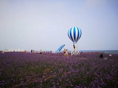 -渔岛海洋度假区