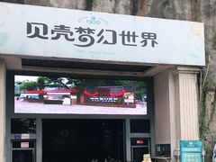 -贝壳梦幻世界