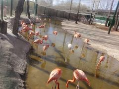 -鄂尔多斯野生动物园