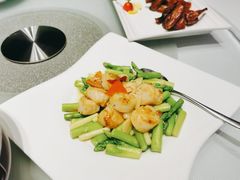 xo酱碧绿炒鲜贝-春满园·早茶·粤菜·宴会(前海店)