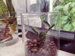 -无牌咖啡&酒馆