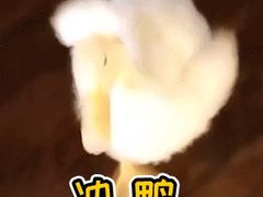 -迪迪派KTV(创业大厦店)
