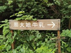 -周大娘牛乳(旧寨古村总店)