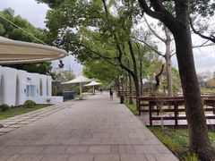 -新江湾城公园