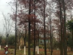 -上海长兴岛郊野公园