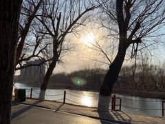 -北戴河集发农业梦想王国