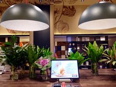 -新加坡瑞士史丹福酒店