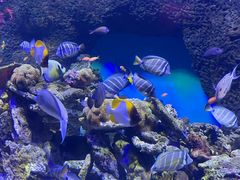 -横店影视城梦幻谷园区