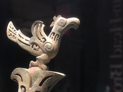 -遇见博物馆(遇见海洋沉浸式奇幻光影展)