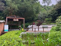 -石排湾郊野公园