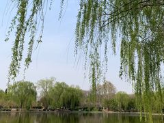 -石家庄市植物园
