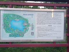 -莲花池公园