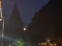 -张醪糟