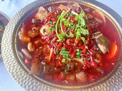 -樽宴酒楼·地道川菜·品质聚会·生日宴请