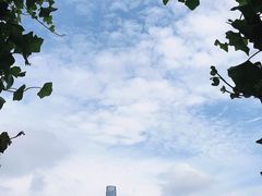 -顶层酒吧ROOF(上海艾迪逊酒店)
