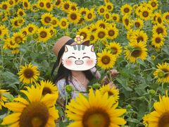 -苏州湾体育公园