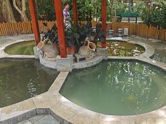 -碧水湾温泉