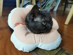 -八哥美术·成人美术画室(总校区)