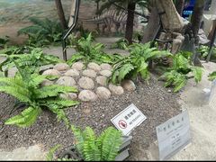 -延庆地质公园博物馆