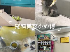 -安安宠医宠物医院·异宠·犬猫内科(岳阳分院)