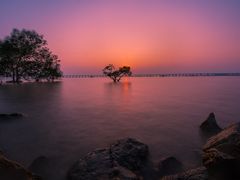 -宝安西湾红树林湿地公园