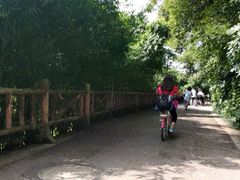 -贵阳市花溪国家城市湿地公园