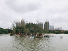 -五缘湾湿地公园
