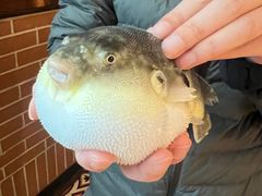 -永安鱼庄·镇江菜(丁卯店)