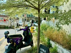 -来回·咖啡(钟村咖啡豆店)