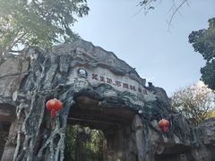 -莫里热带雨林景区
