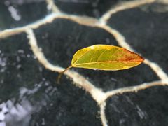 -广州锦绣香江度假别墅