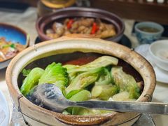 啫啫生菜煲-陶陶居酒家(SM二期购物广场店)