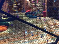 -华夏优加影城(长和国际店)