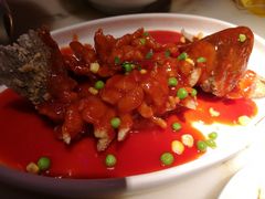 姑苏松鼠鱼-探花·意境江南菜·唐伯虎文化体验店·松鼠桂鱼(观前店)