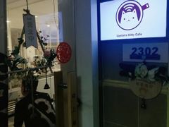 -楼上猫咖(罗湖店)