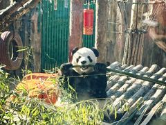 -大连森林动物园