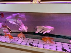 -海底捞火锅(杭州天虹购物中心店)