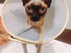 -美迦爱-牙专科·兔科·骨科诊疗中心(北苑店)