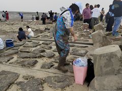 -南汇嘴观海公园