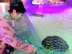 -华夏文旅海洋公园