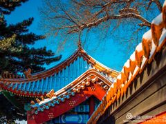 -哈尔滨道外清真寺