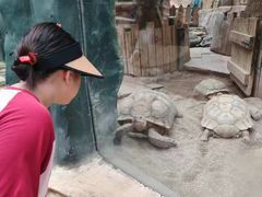 -大连森林动物园